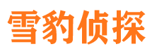 泸溪市私家侦探